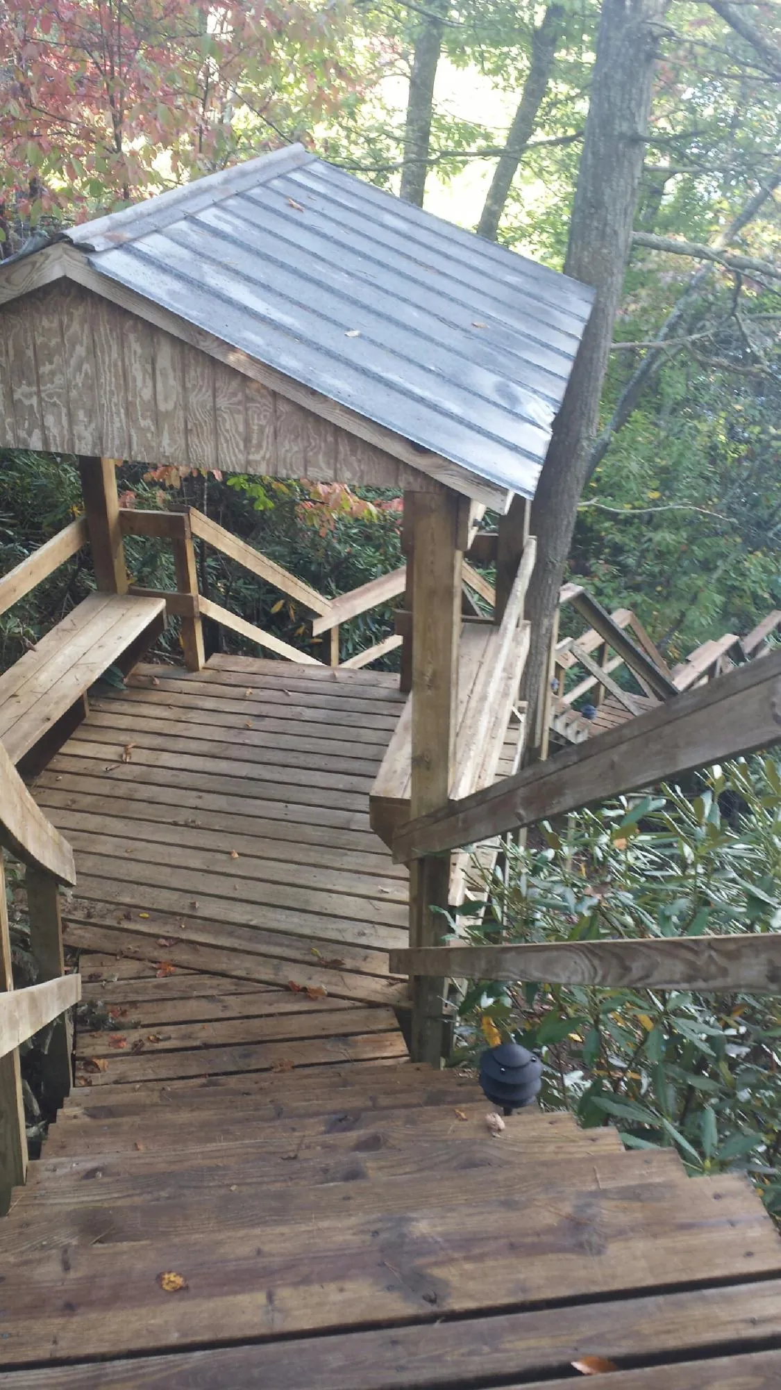 Metal roofed shelter over wooden steps on a wooded walkway — Skylight Repair & Installation work by our crew in Tropic